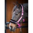 Harry's Horse Halter Letras Citas Rosa