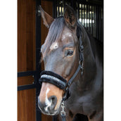 Harry's Horse Halter Letras Citas Negro Harry's Horse Halter Letras Citas Negro