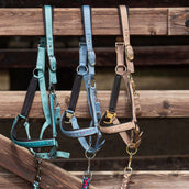 Harry's Horse Juego de Cabestro Crystal Blue Heaven Harry's Horse Juego de Cabestro Crystal Blue Heaven