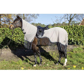 HKM Manta Antimoscas de Ejercicio Fringes Cuello Desmontable Plata<>Gris HKM Manta Antimoscas de Ejercicio Fringes Cuello Desmontable Plata<>Gris