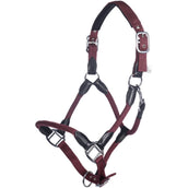 HKM Cabezada Carlotta Bordeaux HKM Cabezada Carlotta Bordeaux