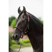 HKM Cabezada Carlotta Bordeaux HKM Cabezada Carlotta Bordeaux