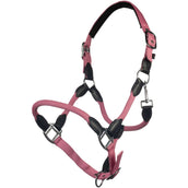 HKM Cabezada Carlotta Rosa HKM Cabezada Carlotta Rosa