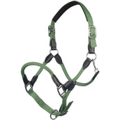 HKM Cabezada Carlotta Jade HKM Cabezada Carlotta Jade