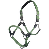 HKM Cabezada Carlotta Jade HKM Cabezada Carlotta Jade