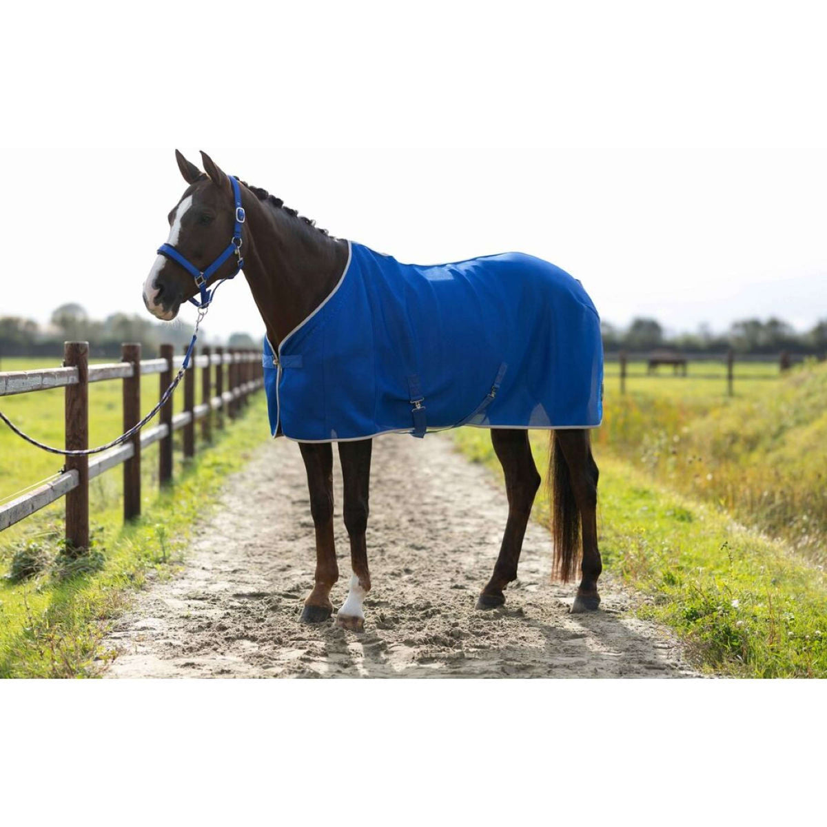 HKM Manta Antimoscas Amalfi Azul HKM Manta Antimoscas Amalfi Azul