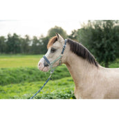 HKM Cabezada Barnie Verde claro/Verde oscuro HKM Cabezada Barnie Verde claro/Verde oscuro