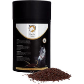 Excellent Cáscara de psyllium Herbs Excellent Cáscara de psyllium Herbs