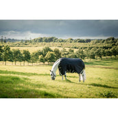 Rambo Turnout Rug 1680D Varilayer 450g Black/Thunderstorm Grey/Silver Rambo Turnout Rug 1680D Varilayer 450g Black/Thunderstorm Grey/Silver
