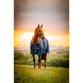 Amigo Ripstop 900D Pony 200g Witney Navy Amigo Ripstop 900D Pony 200g Witney Navy