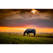 Amigo Ripstop 900D Plus 200g Witney Navy Amigo Ripstop 900D Plus 200g Witney Navy