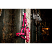 Amigo Cabezada y Ramal Newmarket Witney Pink Amigo Cabezada y Ramal Newmarket Witney Pink