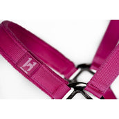 Amigo Cabestro y Ramal Newmarket Witney Pink Amigo Cabestro y Ramal Newmarket Witney Pink
