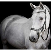Horseware Micklem Diamante Competition Bridle Negro Horseware Micklem Diamante Competition Bridle Negro