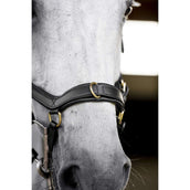 Horseware Micklem Multi Bridle Negro Horseware Micklem Multi Bridle Negro