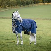 Amigo Turnout Rug FieldSafe Plus 1200D 0g Navy/Titanium Grey/Silver Amigo Turnout Rug FieldSafe Plus 1200D 0g Navy/Titanium Grey/Silver