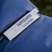 Amigo Turnout Rug FieldSafe Plus 1200D 0g Navy/Titanium Grey/Silver Amigo Turnout Rug FieldSafe Plus 1200D 0g Navy/Titanium Grey/Silver