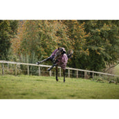 Amigo Turnout Plus 1200D 50g Burgundy/Navy/Titanium Grey Amigo Turnout Plus 1200D 50g Burgundy/Navy/Titanium Grey