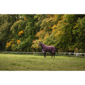 Amigo Turnout Plus 1200D 50g Burgundy/Navy/Titanium Grey Amigo Turnout Plus 1200D 50g Burgundy/Navy/Titanium Grey