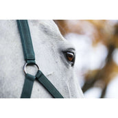 Amigo Cabezada y Ramal Dynasty Green Amigo Cabezada y Ramal Dynasty Green