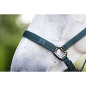 Amigo Cabezada y Ramal Dynasty Green Amigo Cabezada y Ramal Dynasty Green