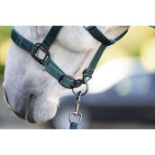 Amigo Cabezada y Ramal Dynasty Green Amigo Cabezada y Ramal Dynasty Green