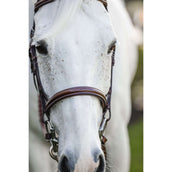 Horseware Brida Pony Hunter Cavesson con Riendas Dark Tan Horseware Brida Pony Hunter Cavesson con Riendas Dark Tan