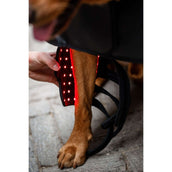Horseware Pet Leg Wraps LED Red Light Therapy Pair Negro/Negro Horseware Pet Leg Wraps LED Red Light Therapy Pair Negro/Negro