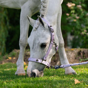 Imperial Riding Cabezada IRHRebel Wisteria Imperial Riding Cabezada IRHRebel Wisteria