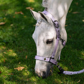 Imperial Riding Cabezada IRHRebel Wisteria Imperial Riding Cabezada IRHRebel Wisteria