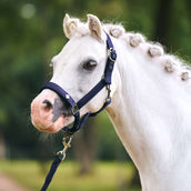 Imperial Riding Cabezada IRHRebel Navy Imperial Riding Cabezada IRHRebel Navy