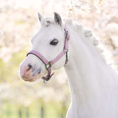 Imperial Riding Cabezada IRHRebel Ballerina Imperial Riding Cabezada IRHRebel Ballerina