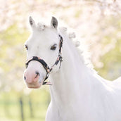 Imperial Riding Cabezada IRHRebel Flower Print Imperial Riding Cabezada IRHRebel Flower Print