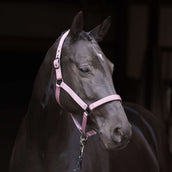 Imperial Riding Cabezada IRHRebel Ballerina Imperial Riding Cabezada IRHRebel Ballerina