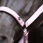 Imperial Riding Cabezada IRHRebel Ballerina Imperial Riding Cabezada IRHRebel Ballerina