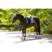 LeMieux Mantilla Suede Square Doma clásica Powder Blue LeMieux Mantilla Suede Square Doma clásica Powder Blue