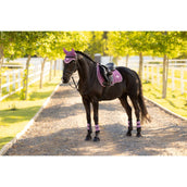 LeMieux Mantilla Loire Classic Square Propósito general Mallow LeMieux Mantilla Loire Classic Square Propósito general Mallow