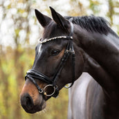 Kavalkade Brida Zora Negro/Charol/Negro Kavalkade Brida Zora Negro/Charol/Negro