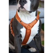 Kentucky Dogwear Arnés Active Velvet Naranja Kentucky Dogwear Arnés Active Velvet Naranja