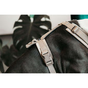 Kentucky Dogwear Arnés Active Velvet Beige Kentucky Dogwear Arnés Active Velvet Beige