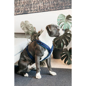 Kentucky Dogwear Arnés Active Velvet Navy Kentucky Dogwear Arnés Active Velvet Navy