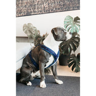 Kentucky Dogwear Arnés Active Velvet Navy Kentucky Dogwear Arnés Active Velvet Navy