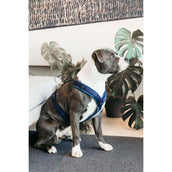 Kentucky Dogwear Arnés Active Velvet Navy Kentucky Dogwear Arnés Active Velvet Navy