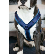 Kentucky Dogwear Arnés Active Velvet Navy Kentucky Dogwear Arnés Active Velvet Navy