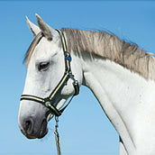 Covalliero Cabezada Hippo Nylon Antracita/Limon Covalliero Cabezada Hippo Nylon Antracita/Limon