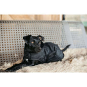 Kentucky Dogwear Dog Coat Negro Kentucky Dogwear Dog Coat Negro