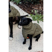 Kentucky Dogwear Manta para Perros Winter Pina 160g Pine Green Kentucky Dogwear Manta para Perros Winter Pina 160g Pine Green