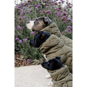 Kentucky Dogwear Manta para Perros Winter Pina 160g Pine Green Kentucky Dogwear Manta para Perros Winter Pina 160g Pine Green