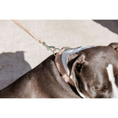 Kentucky Dogwear Halsband Teddy Fleece Rosa Viejo Kentucky Dogwear Halsband Teddy Fleece Rosa Viejo