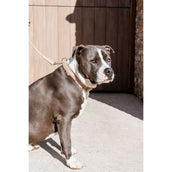 Kentucky Dogwear Halsband Teddy Fleece Rosa Viejo Kentucky Dogwear Halsband Teddy Fleece Rosa Viejo